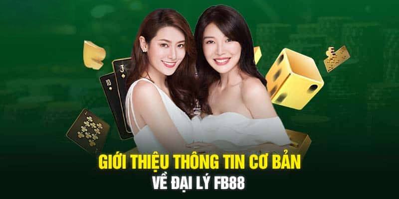 Quyền lợi nhận được khi trở thành đại lý chính thức của Fb88 